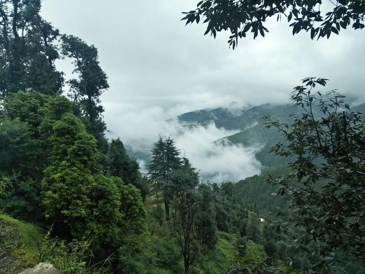 Hotel Oyo 11877 Royal Residency New Tehri Pokoj fotografie